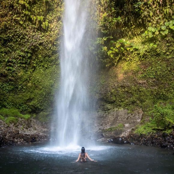 Meet your Posher, Xaviera - Picture 1 of 1